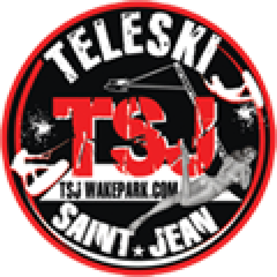 teleski logo
